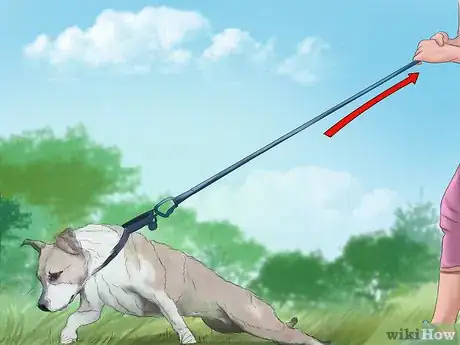 Image titled Teach Your Dog "On By" Step 9